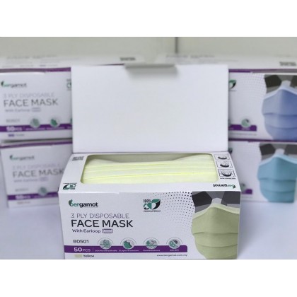 B0501 3 Ply Lint-Free Medical Face Mask Earloop